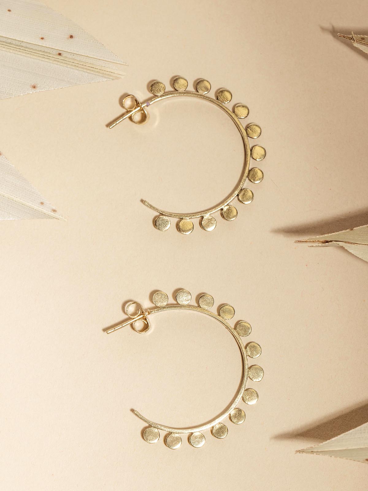 Close up of gold brass disc hoop earrings on. a cream surface with dried plants. 