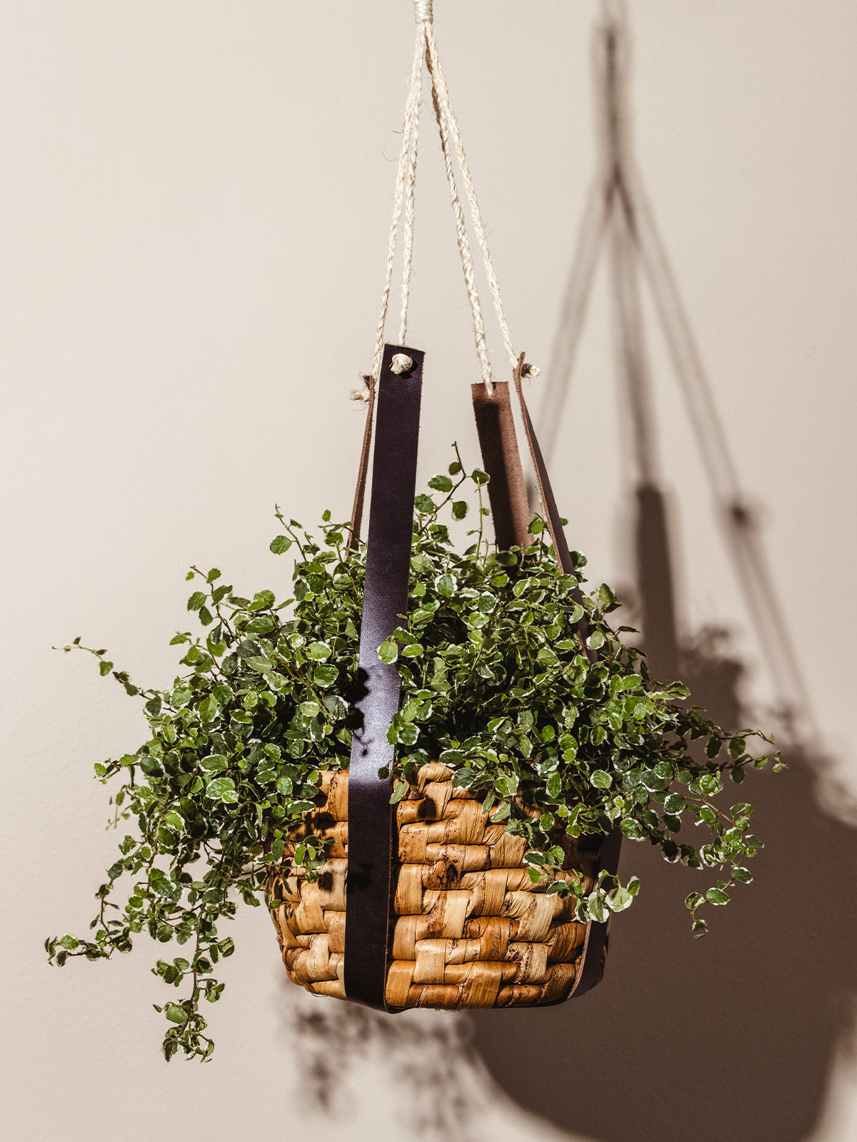 hanging planter leather Leather Hanging Plant Basket