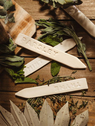 Ceramic garden markers: sage, mint, and thyme. Garden markers are laid on a wooden surface with herbs and greenery.