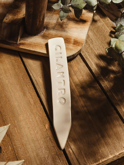 Ceramic garden marker "cilantro" lying on a wooden surface with some greenery. 