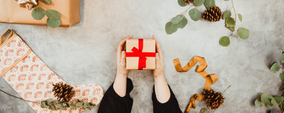A Look Back for Giving Tuesday: What We’ve Accomplished