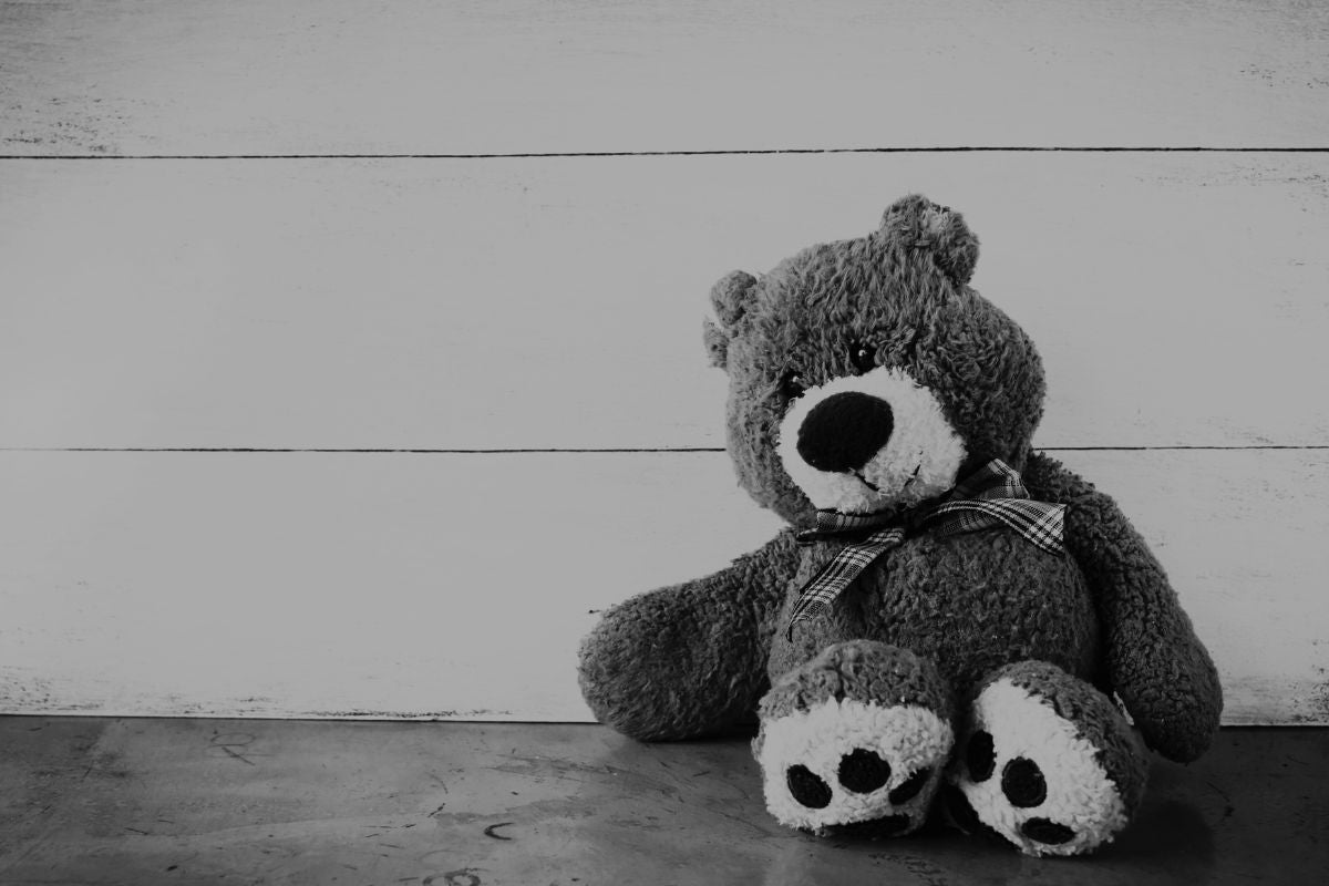 The Bear: The Unexpected Gift That Reminded Me I Mattered