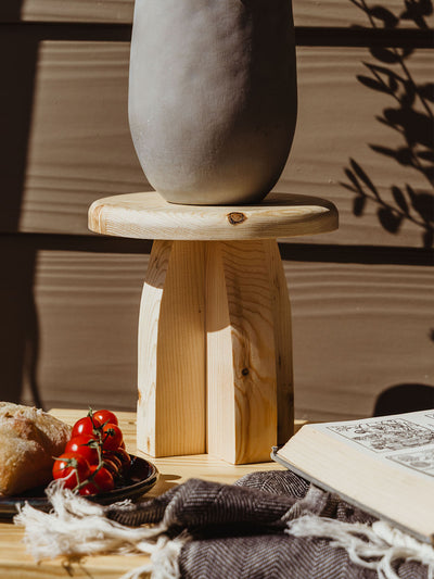 Close-up of a minimalist plant in a smooth gray pot placed on a light wood pedestal, with fresh tomatoes, bread, and an open illustrated book in the foreground.