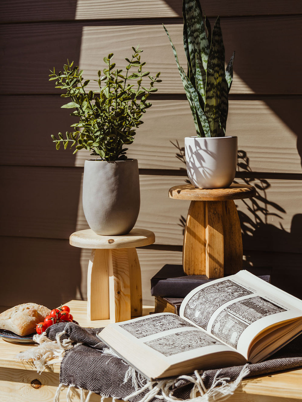 Cozy sunlit tabletop scene with wooden risers holding potted plants, a vintage book opened to detailed illustrations, fresh bread and cherry tomatoes on a plate, and a fringed throw blanket.