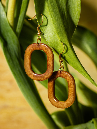 Pair of handcrafted oval-shaped brown dangle earrings with gold hooks, hanging from a green plant stem against a warm yellow background.