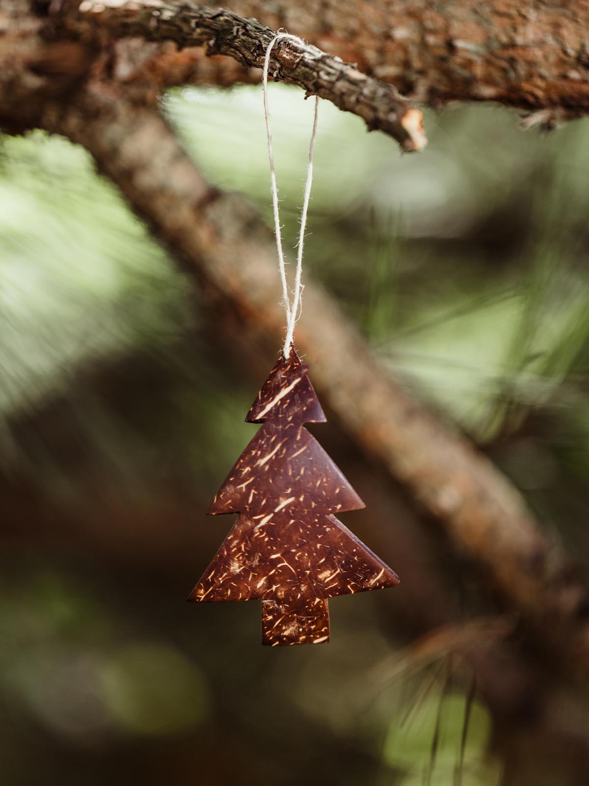 Sustainable Christmas tree ornament made from coconut shell, suspended from a natural twine on a pine branch, highlighting its eco-friendly and rustic holiday style.
