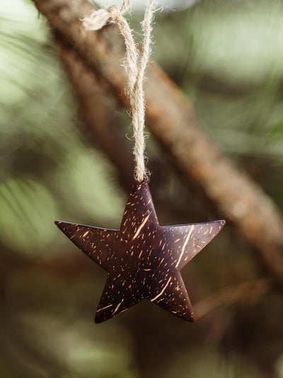 Handcrafted star-shaped ornament made from coconut shell, hanging from a rustic twine on a pine tree branch, showcasing natural textures and eco-friendly design.