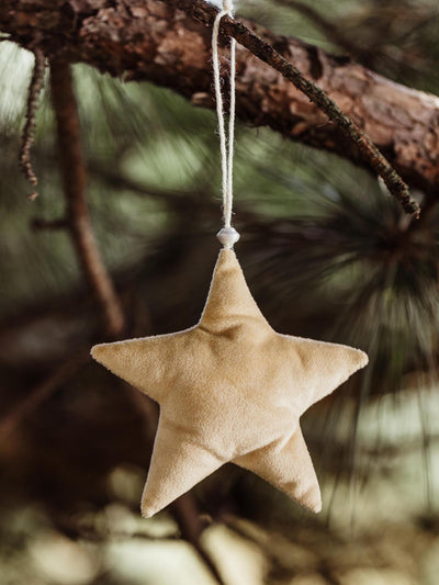 Beige fabric star ornament with soft texture, hanging from twine on a pine tree branch, offering a minimalist and natural holiday decor option.