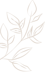 Decorative design element of leaves on a branch