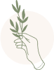 Icon drawing in thin green line, a hand holding a branch of leaves